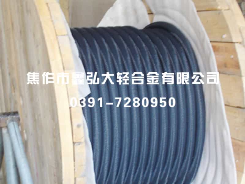 導(dǎo)電聚合物柔性陽(yáng)極